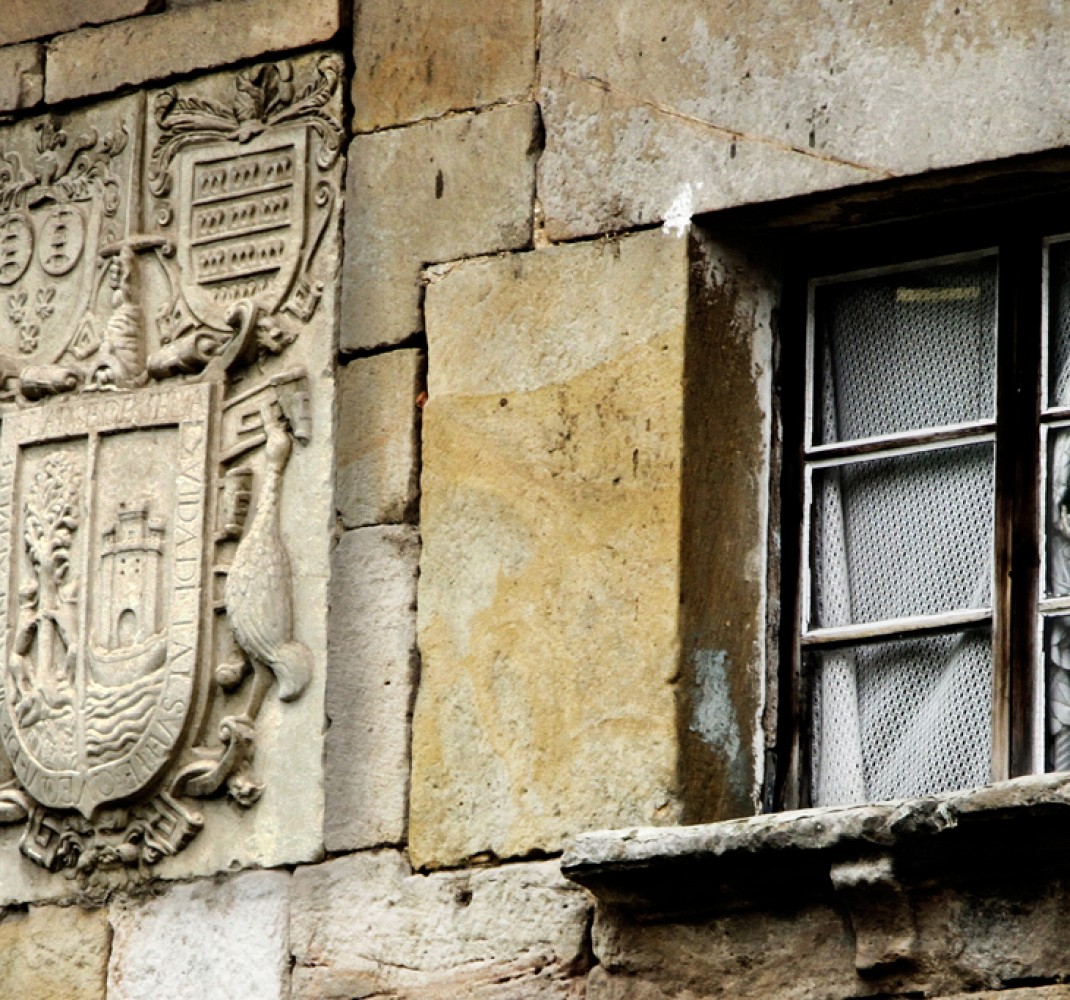 Coat of arms of the family 