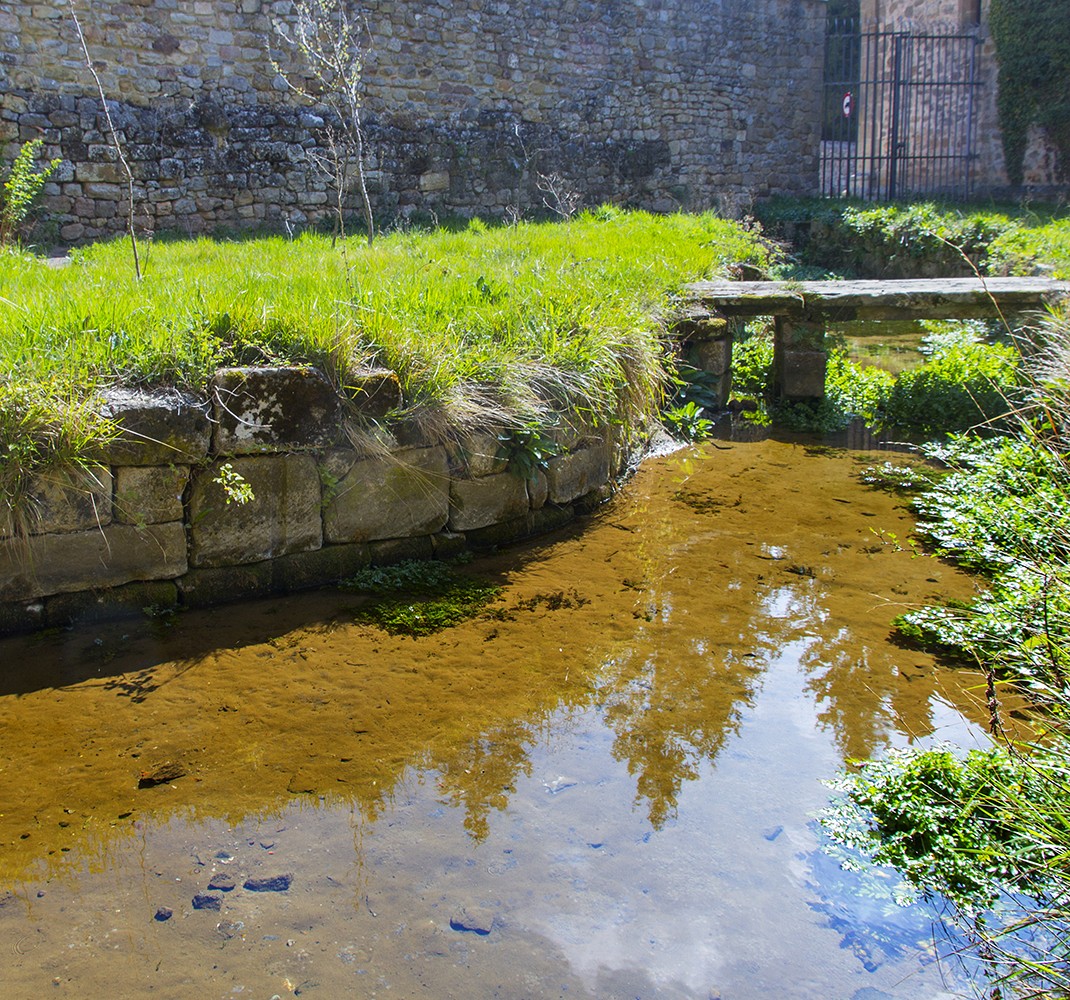 Patio de manantiales