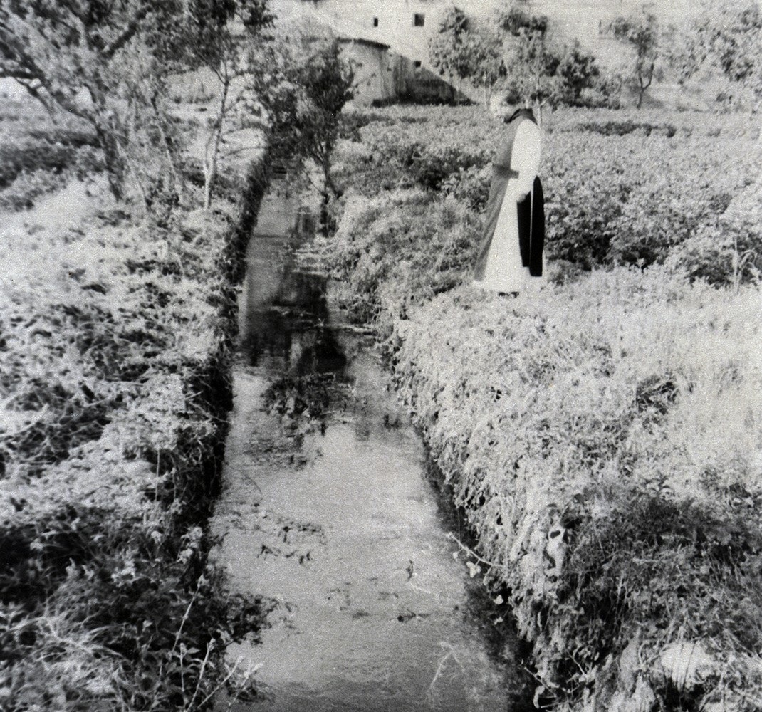 Cloister well